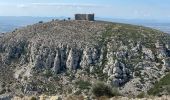 Excursión Senderismo Torroella de Montgrí - Castel de mont gris variante - Photo 8