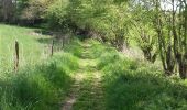 Trail Walking Tinlot - Ramelot-Linchet-Bois de Forkechamps - Photo 8