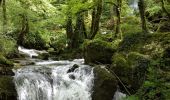 Tour Wandern Éternoz - Nans sous ste Anne, Lizon - Photo 4