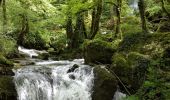 Tour Wandern Éternoz - Nans sous ste Anne, Lizon - Photo 4