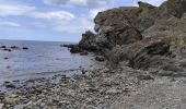 Tocht Stappen Banyuls-sur-Mer - banyuls cap rederis - Photo 3