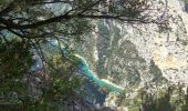 Tour Wandern Moustiers-Sainte-Marie - Plein Voir Verdon  - Photo 4