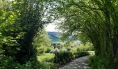 Trail Walking Stoumont - cour . borgoumont . moulin du ruy . andrimont . cour - Photo 8