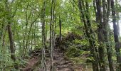 Tour Wandern Bouillon - Botassart, là où coule une rivière  - Photo 11