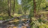 Randonnée A pied Malmedy - Ligneuville : Vallée Amblève - Photo 3