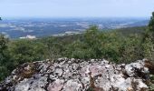 Randonnée Marche Val-Revermont - Cuisiat, Pouillat, Nivigne, Rosy, col des justices - Photo 4