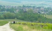 Tour Elektrofahrrad Chablis - Chablis Vaucoupin Gérard 21052023 - Photo 1