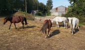 Trail Walking Harfleur - Herfleur - Caucriauville - Rouelles - Photo 3