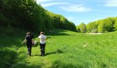 Tour Wandern Omblèze - Le saut de la Truite - Photo 1