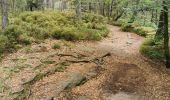 Tocht Stappen Saint-Nabor - boucle st nabor - Mt ste Odile  - Photo 14