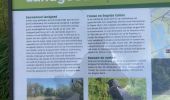 Tocht Te voet Zwolle - WNW IJsseldelta - Schelle -blauwe route - Photo 10