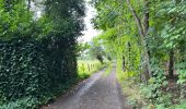 Trail Walking Sint-Gillis-Waas - De Klinge 21,9 km - Photo 11