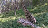 Tour Wandern Crévoux - mon.parcours des fées : cascade de razis via le torrent / retour via le canal du meal - Photo 8