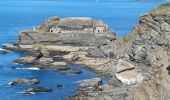 Tour Wandern Roscanvel - GR34   Lanvéoc  -- Camaret S/Me - Photo 2