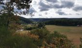 Tour Wandern Bouillon - Dohan 12km 2020  - Photo 17