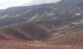 Trail Walking Nicolosi - Refugio Sapienza - Photo 3
