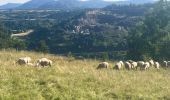 Randonnée Trail Laussonne - Plateau de Fraysse(17K 450D+) - Photo 10