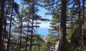 Trail Walking Moustiers-Sainte-Marie - Plein Voir Verdon  - Photo 8