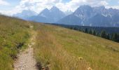 Randonnée Marche Toblach - Dobbiaco - Silverstertal - Valle San Silvestro - Photo 17