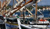 Tocht Stappen Saint-Cyr-sur-Mer - Port de la Madrague - Pointes Fauconnière, des 3 Fours, du Défends, des Termes et des Engraviers - Bandol - Photo 12