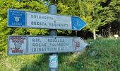 Tour Zu Fuß Ballabio - Traversata Bassa delle Grigne - Photo 2