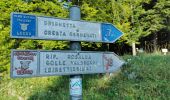 Percorso A piedi Ballabio - Traversata Bassa delle Grigne - Photo 2