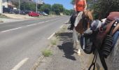 Trail Horseback riding Orthoux-Sérignac-Quilhan - mas bas - corconnes en boucle - Photo 5