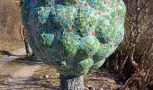 Trail Walking Arboras - arboras arsel - Photo 4