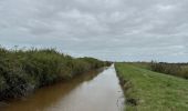 Tocht Elektrische fiets Vendays-Montalivet - Grayan - Photo 6