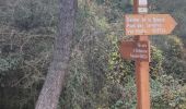 Trail Walking Valbonne - GR653A- Contrôle 20-12-2023 - Photo 5