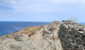 Trail Walking Port-Vendres - port vendre . cap bear / retour  - Photo 11