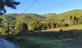 Trail Walking Sanary-sur-Mer - trail La Gorguette au Petit Cerveau - Photo 5