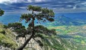 Randonnée Marche Le Saix - Montagne d'Aujour en boucle - Photo 6