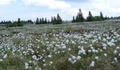 Excursión A pie Le Valtin - 20. Les belvédères des trois lacs - Photo 8