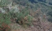 Trail Walking Quistinic - PR_56_Quistinic_AA_01_Poul-Fetan_Circuit1b_20230909 - Photo 14