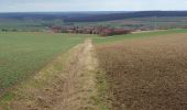 Tocht Te voet Königslutter am Elm - Elm Rundwanderweg 24 - Photo 1