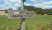 Randonnée Marche Normanville - 20230607-Normanville - Photo 6