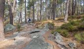 Tour Wandern Noisy-sur-École - Sentier des 25 bosses (1ère moitié) - Photo 3