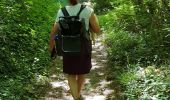 Trail Walking Vesly - vesly Noyers le chêne  - Photo 10