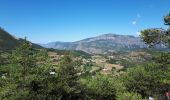 Trail Walking Ubaye-Serre-Ponçon - tour de costebelle  - Photo 1