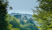 Tocht Te voet Sankt Nikola an der Donau - Burg Werfenstein Wanderweg - Photo 9