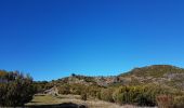 Trail Walking Ilha - Madère : vers le Pico Ruevo sommet de l'île - Photo 1