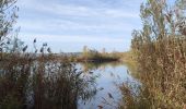 Trail Walking Jablines - jablines secret - Photo 1