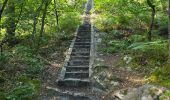 Tour Wandern Milly-la-Forêt - Milly-la-Forêt - Forêt domaniale des Trois pignons - Curiosités  - Photo 18