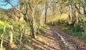 Tour Wandern Braives - Tracé - Photo 2