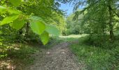 Trail Walking Ormoy-le-Davien - 030422 - Direction Vaucienne puis Vaumoise et Cave du diable - Photo 8