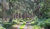 Trail Walking Libramont-Chevigny - Séviscourt - Photo 17