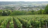 Tocht Stappen Essômes-sur-Marne - Essômes sur Marne du 29/09/2019 - Photo 1