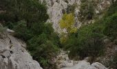 Tour Wandern Évenos - Gorge du Destel - Photo 12