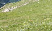 Excursión Senderismo Ceillac - cols Tronchet et Girardin  - Photo 5